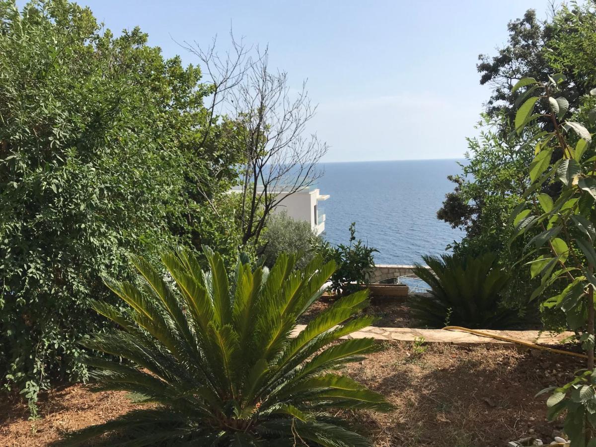 Guesthouse Oaza Emi Dobra Voda Dış mekan fotoğraf